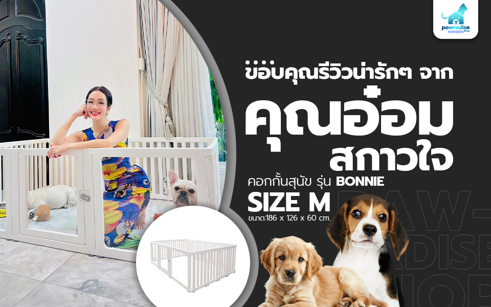 Review คุณอ๋อม สกาวใจ 960x600