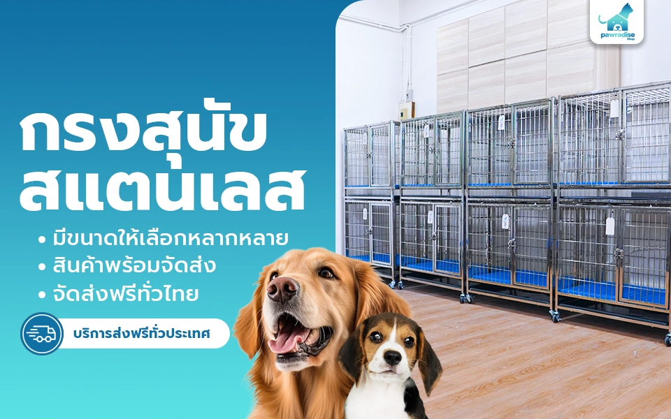 head dogcage stainless 960x600