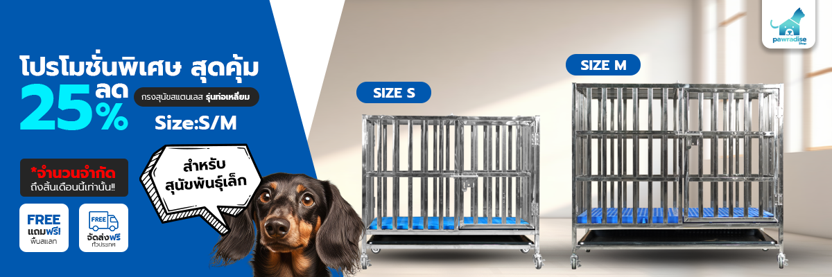 head promotion dogcage 001 1200x400