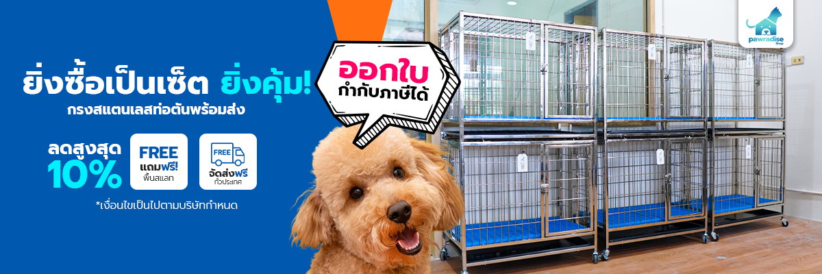 head promotion dogcage ท่อตัน 2 1200x400