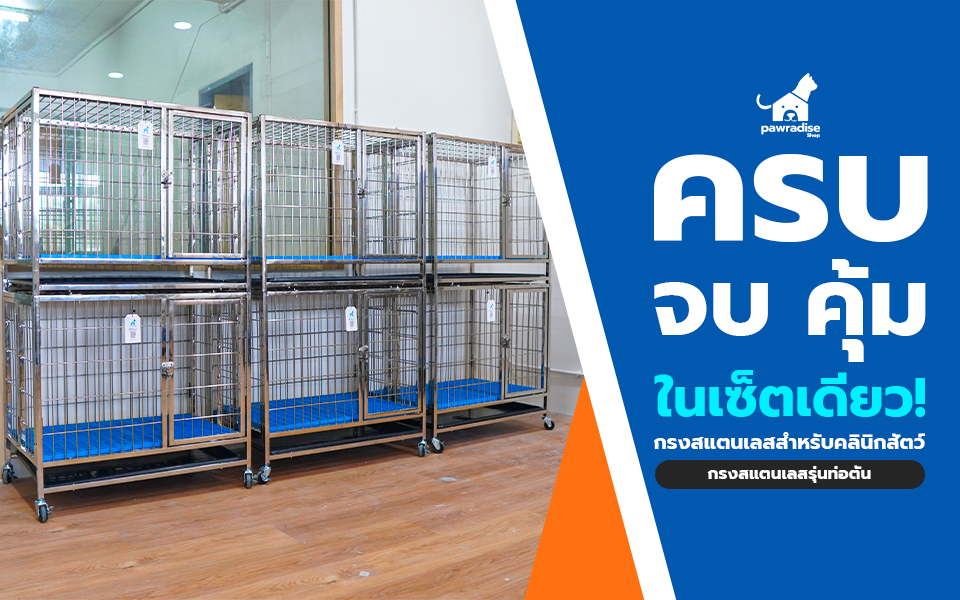 head ครบ จบ คุ้ม dogcage ท่อตัน 960x600