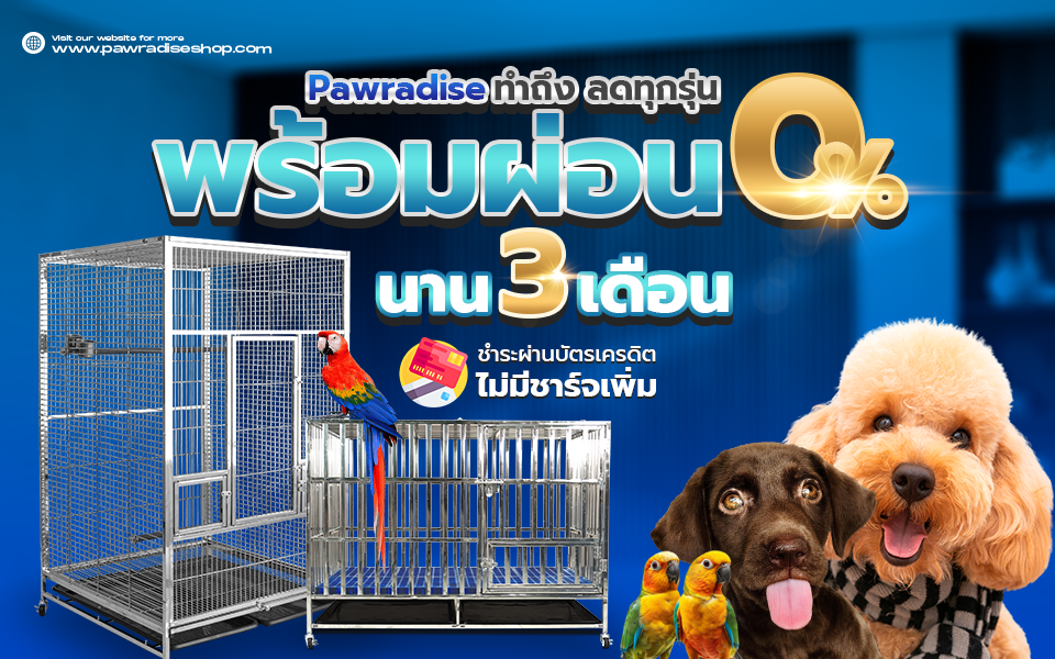 Banner ผ่อน 0% 960x600