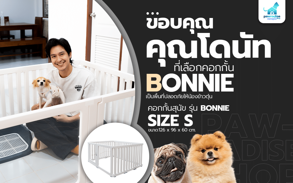 Review คุณโดนัท 960x600