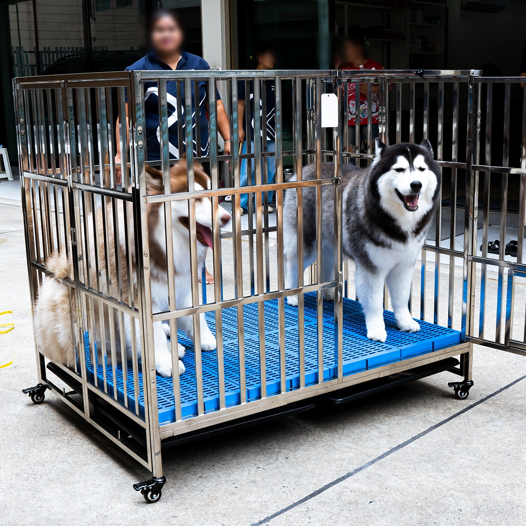 ฟาร์ม