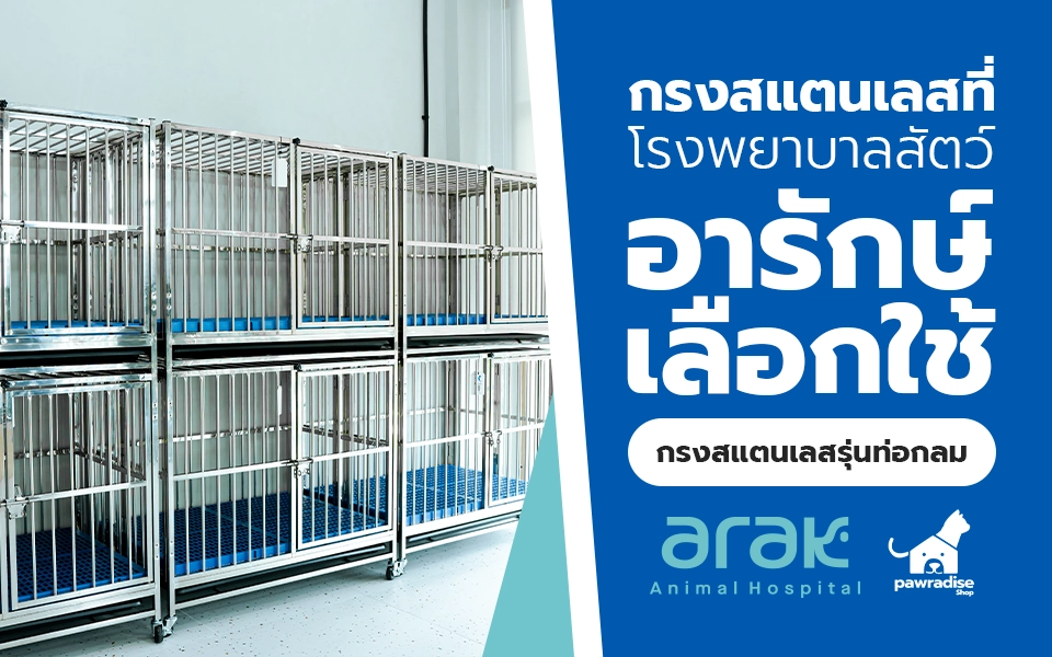 head รพ สัตว์อารักษ์ dogcage ท่อกลม 2026 960x600
