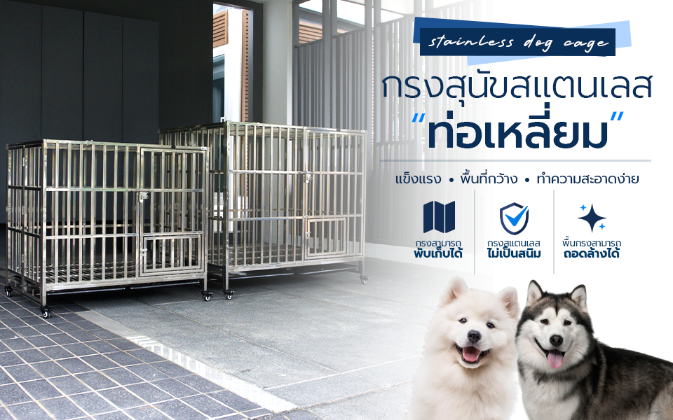Banner.ท่อเหลี่ยม 960 x 600